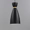 Maxim Lighting Carillon 1-Light Elongated Mini Pendant, Black/Satin Brass 11301BKSBR - alternate 4